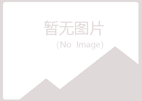 汶川县夏槐能源有限公司